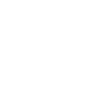 Icon Images
